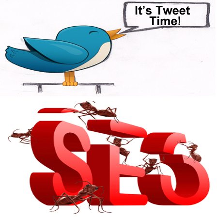It's Tweet TIme