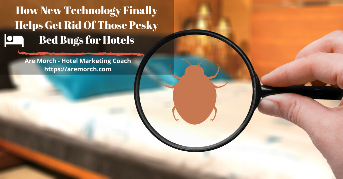 How New Technology Finally Helps Get Rid of Those Pesky Bed Bugs for Hotels